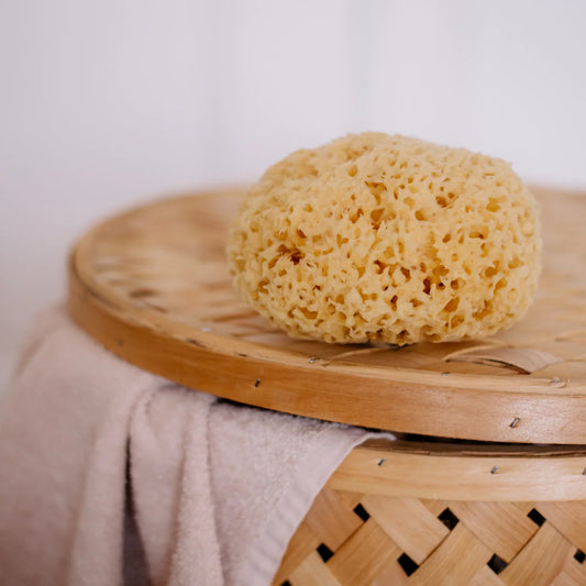 Natural Sea Sponge – Sustainable Boho Bath & Spa Wellness