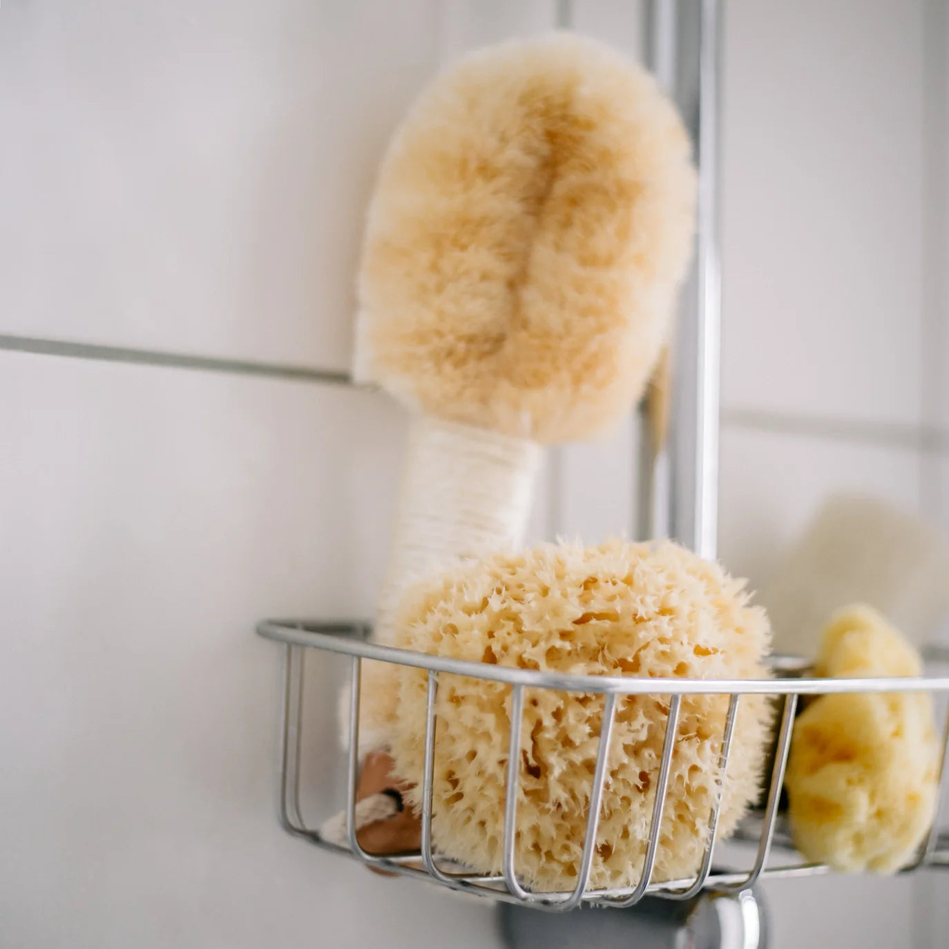 Natural Sea Sponge – Sustainable Boho Bath & Spa Wellness